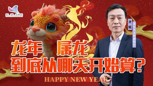 龙宝宝最新爆料视频在线观看,揭秘幕后真相，精彩瞬间不容错过